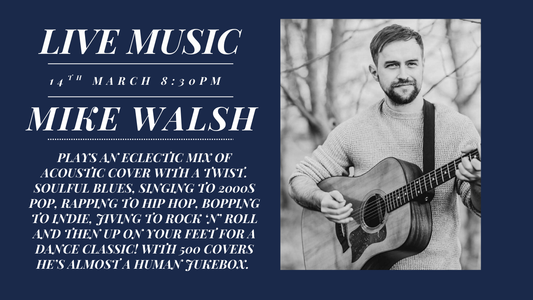 Mike Walsh Live Music